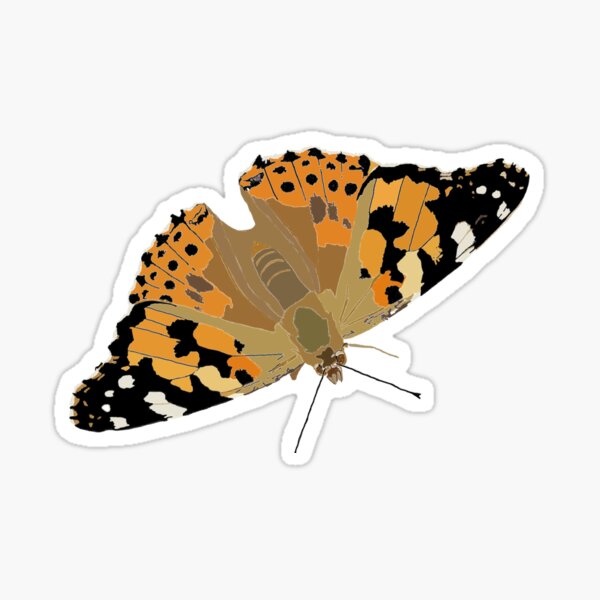 Schmetterling Distelfalter Sticker