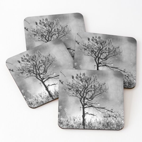 Item preview, 3.7.2021: Pine Tree in Morning Mist designed and sold by Petri Volanen.