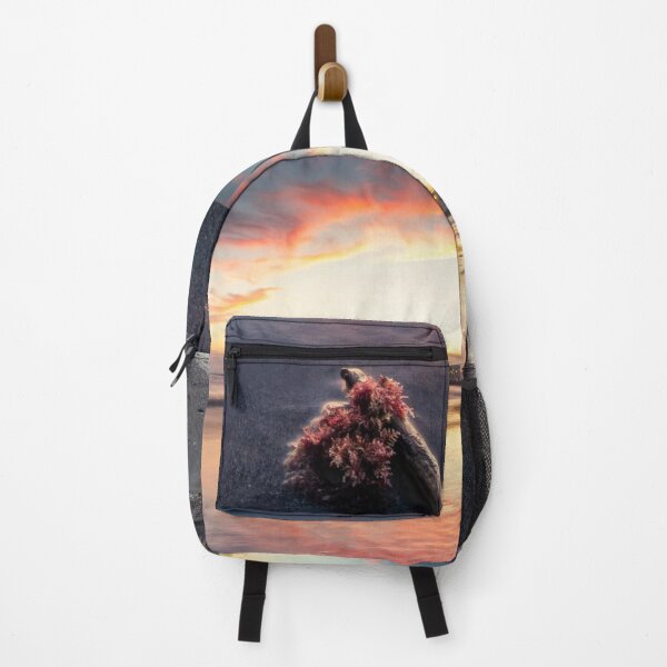 Item preview, Italy posters Sea Sunset - cool sea photography poster designed and sold by Long Exposure.