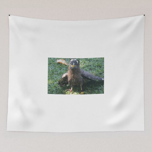 Item preview, Showing Displeasure designed and sold by byronbackyard.