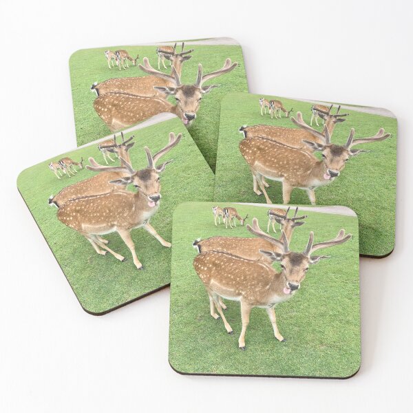 Item preview, Deer in Dunham Park designed and sold by Laylise.
