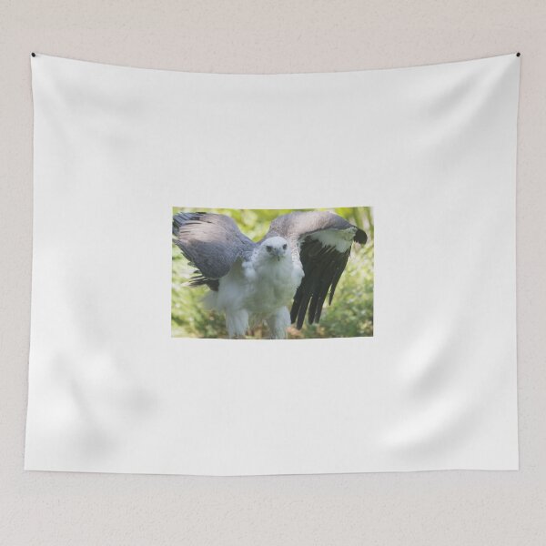 Item preview, Eagle Power designed and sold by byronbackyard.