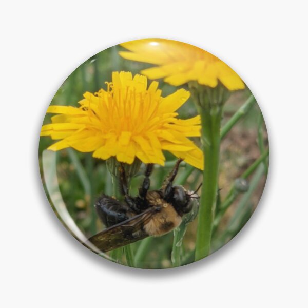 Item preview, Sleepy Bee designed and sold by JeniBlynn.