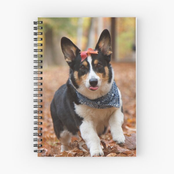 Item preview, Silly, Funny, Corgi designed and sold by WorldDesign.