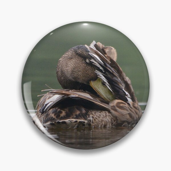 Item preview, Sleeping Mallard designed and sold by ClaireChown.