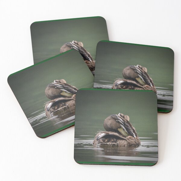 Item preview, Sleeping Mallard designed and sold by ClaireChown.