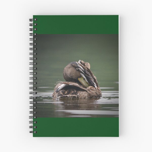 Item preview, Sleeping Mallard designed and sold by ClaireChown.