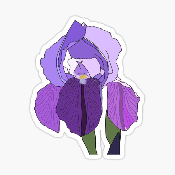 Schwertlilie (Iris) Sticker