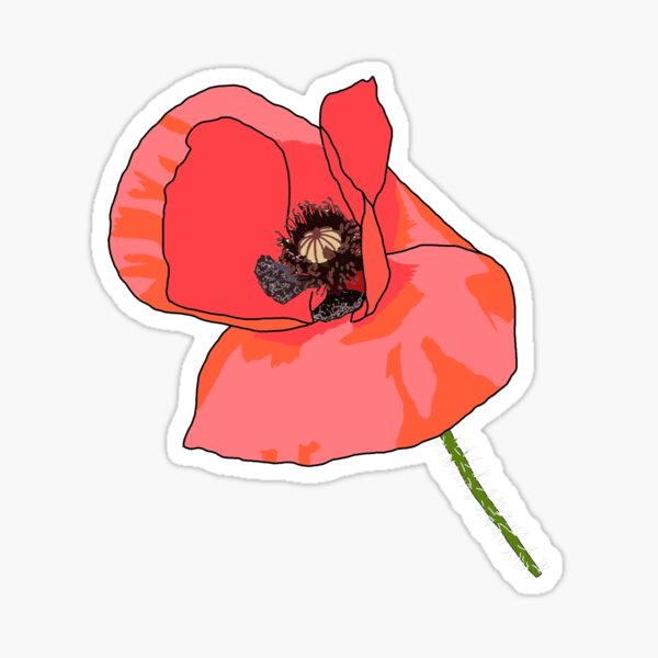 Klatschmohn Sticker