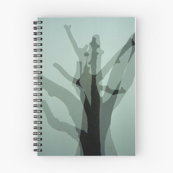 Item preview, Arboricide - four sacrificed trees designed and sold by Tony Kemplen.