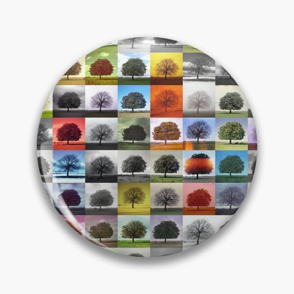 Item preview, One Tree, One Hundred Cameras designed and sold by Tony Kemplen.