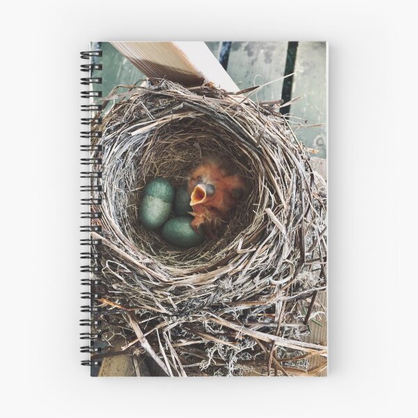 Item preview, Birdsnest designed and sold by Lise Myhre Nilsen.