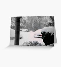 February 2016 - Virginia Storm Greeting Card