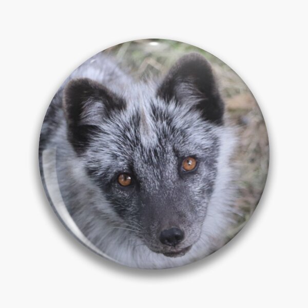 Item preview, Arctic Fox designed and sold by Ladymoose.