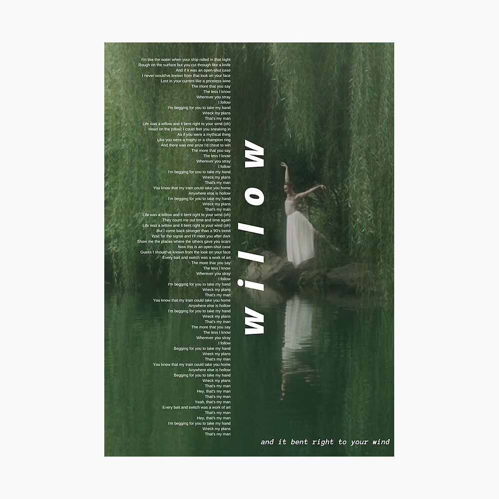 Home Décor Wall Hangings Wall Décor willow by Taylor Swift Lyrics