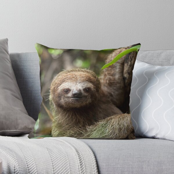 3 Toed Sloth Throw Pillow