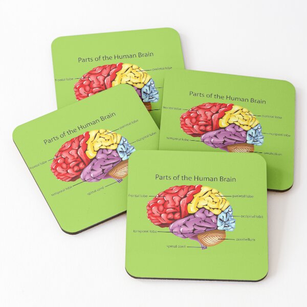 Item preview, Parts of the human brain designed and sold by sbrstore.