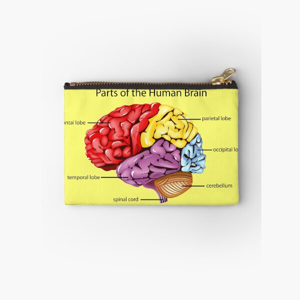 Item preview, Parts of the human brain designed and sold by sbrstore.