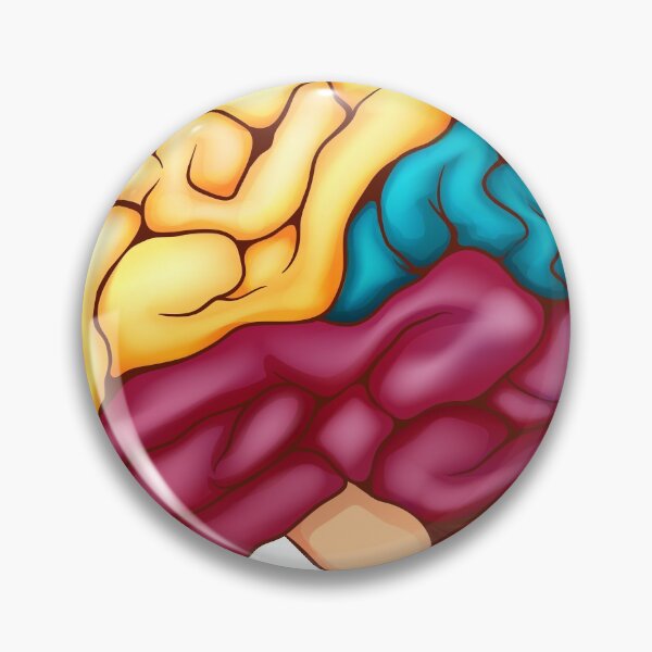 Item preview, parts of the human brain designed and sold by sbrstore.