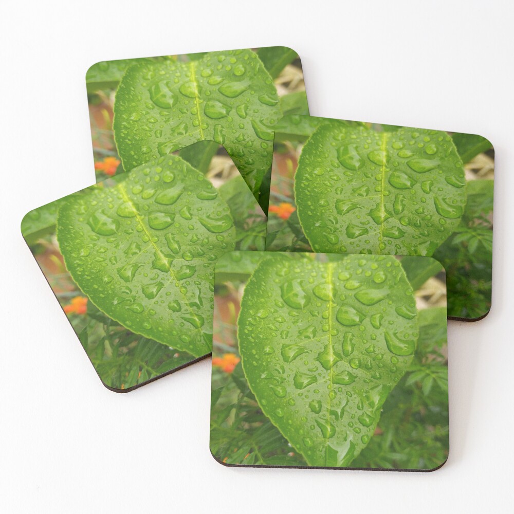 Item preview, Coasters (Set of 4) designed and sold by Rudith.