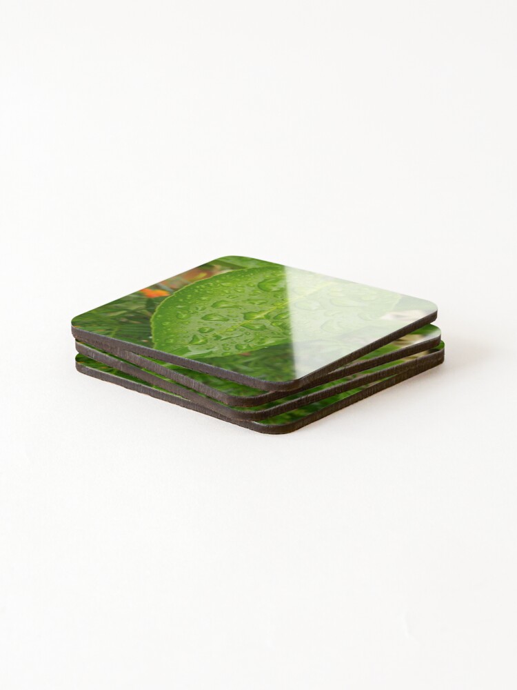 Thumbnail 4 of 5, Coasters (Set of 4), Leaf designed and sold by Rudith.