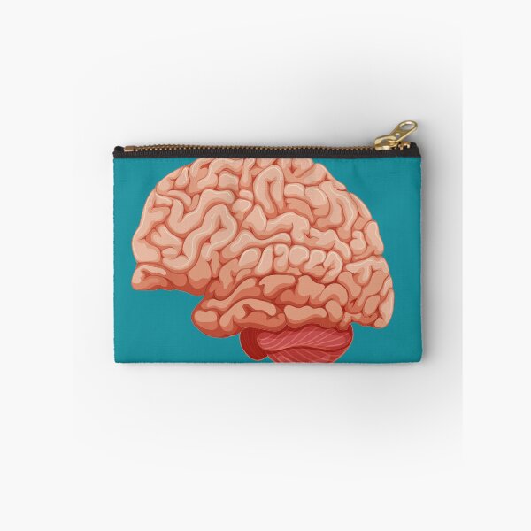 Item preview, human brain designed and sold by sbrstore.