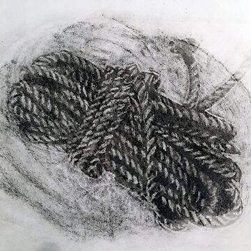 Artwork thumbnail, Rope by Tensegrity