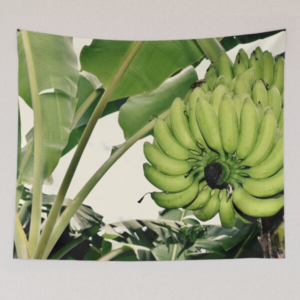 Item preview, Costa Rican Bananas designed and sold by umeimages.