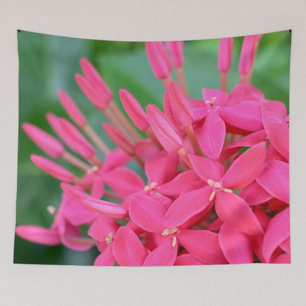 Item preview, Pink Petals CR designed and sold by umeimages.