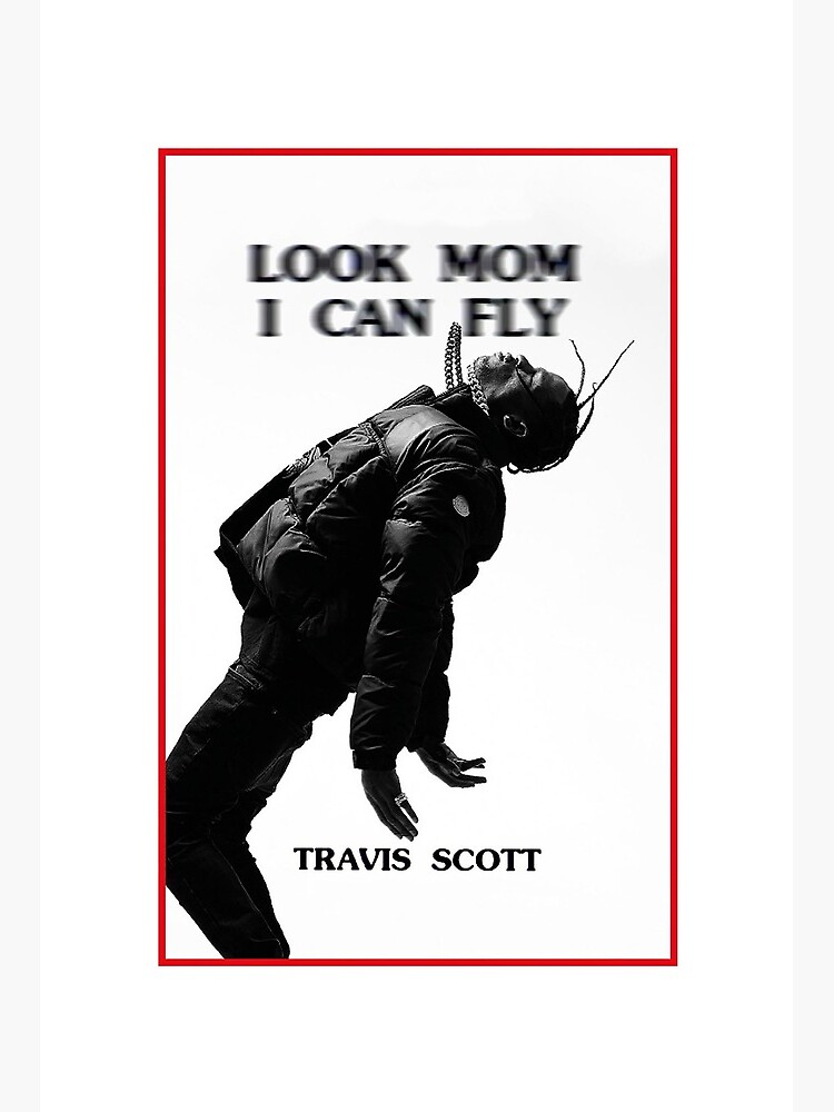 look mom i can fly poster