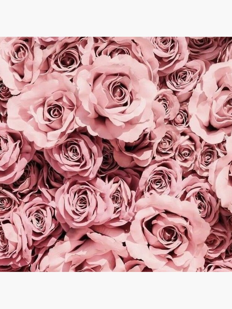 “Pink Roses” Sticker for Sale by Jujuzinha21 | Redbubble