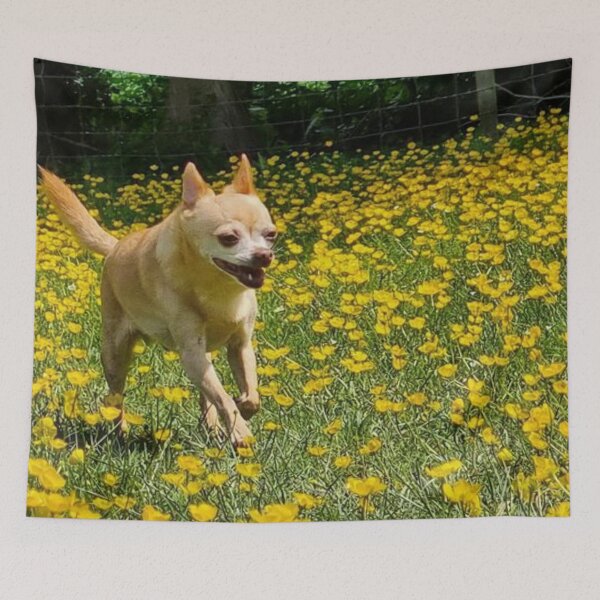 Item preview, Happiest chihuahua in the world designed and sold by Iojofruits.