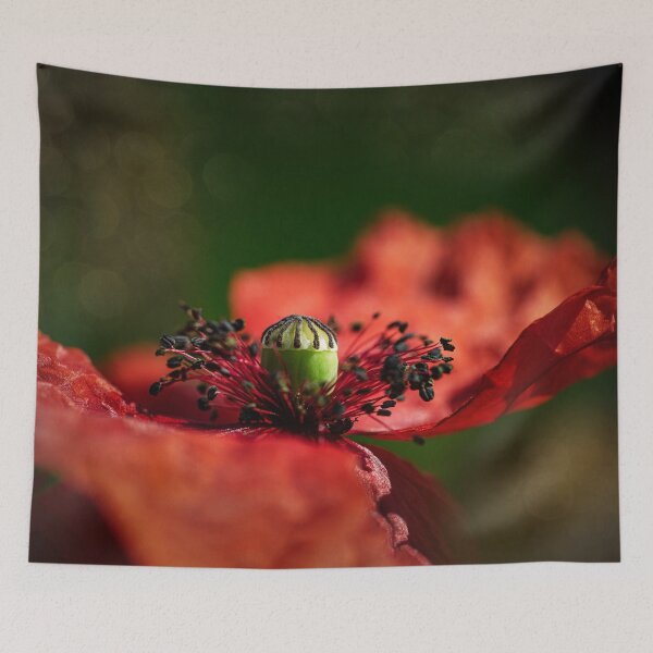 Item preview, Beautiful macro shot of a poppy flower designed and sold by gelibolu.