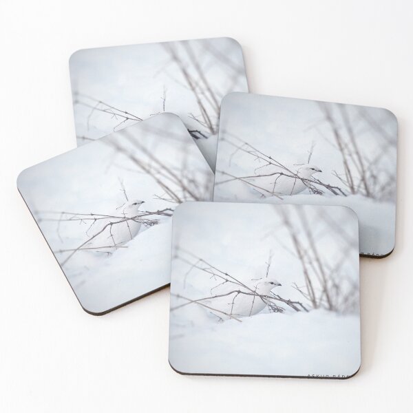 Item preview, Rock Ptarmigan - Photograp designed and sold by Hallamalla.