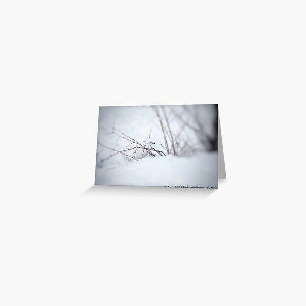 Rock Ptarmigan - Photograp Greeting Card