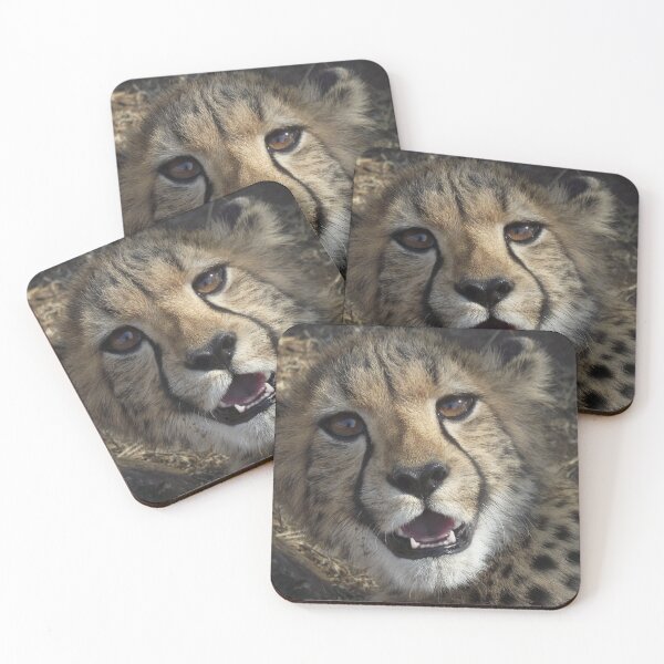 Item preview, Cheetah Cub designed and sold by pantherart.