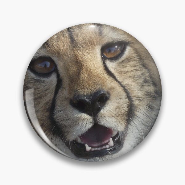 Item preview, Cheetah Cub designed and sold by pantherart.