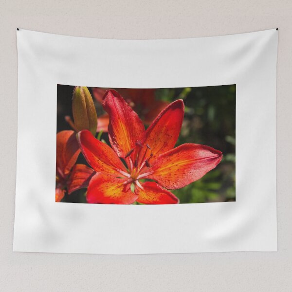 Item preview, A beautiful Orange Lily designed and sold by amzani.
