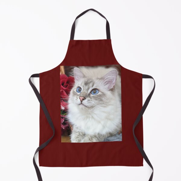 Item preview, Lynx ragdoll Saoirse designed and sold by Fluffycat2020.