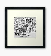 Kirby Framed Print