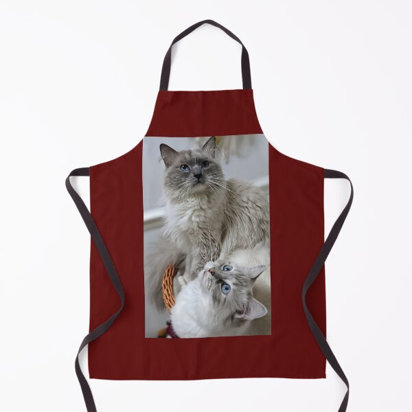Item preview, Lynx ragdoll Maia & blue point Odin designed and sold by Fluffycat2020.