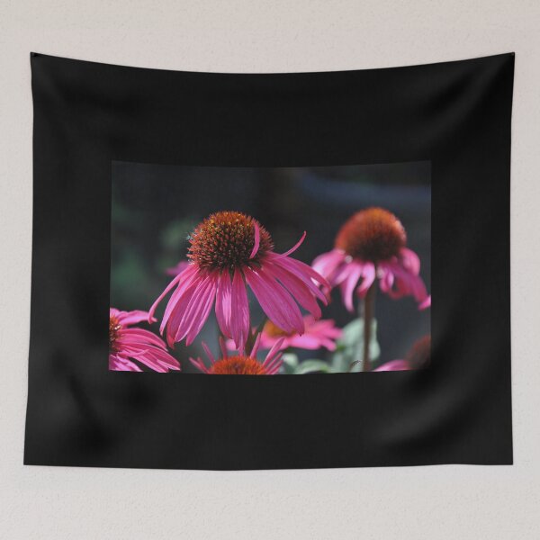 Item preview, Echinacea designed and sold by FunkiFunki.