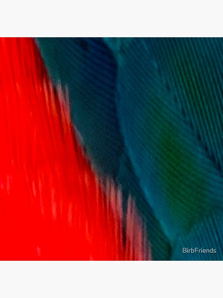 Thumbnail 4 of 4, Pillow, Crimson bellied conure pattern designed and sold by BirbFriends.