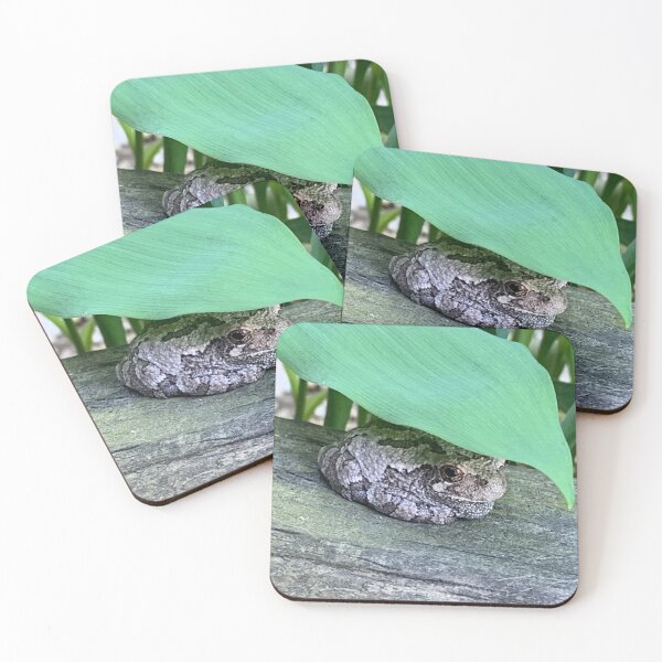 Item preview, Frog in the shade designed and sold by SheRBears.