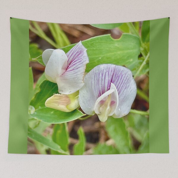 Item preview, Sweet Pea designed and sold by roadwarriorart.