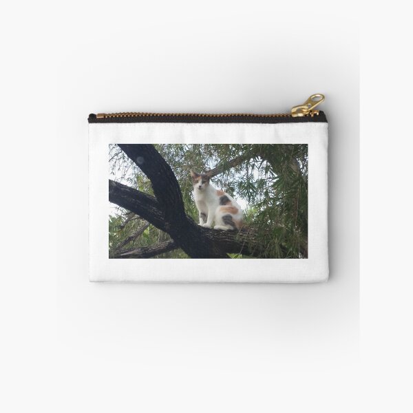 Item preview, Calico in a tree designed and sold by rrodriguez5344.