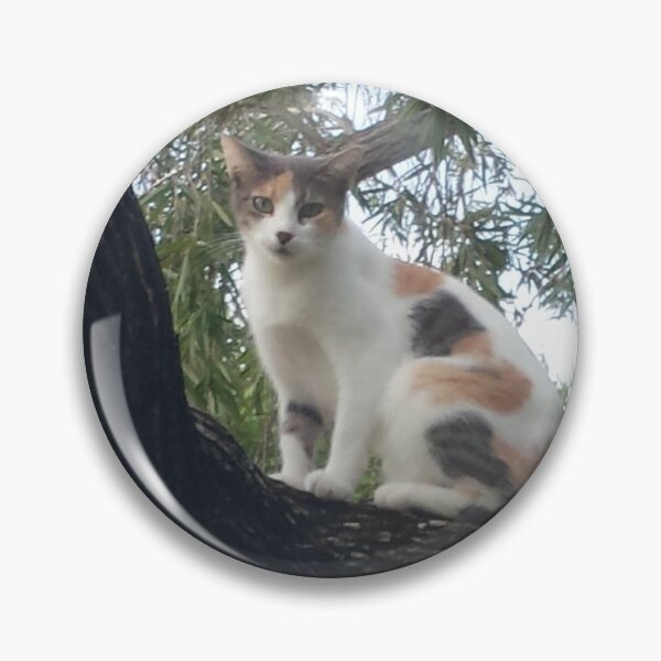 Item preview, Calico in a tree designed and sold by rrodriguez5344.