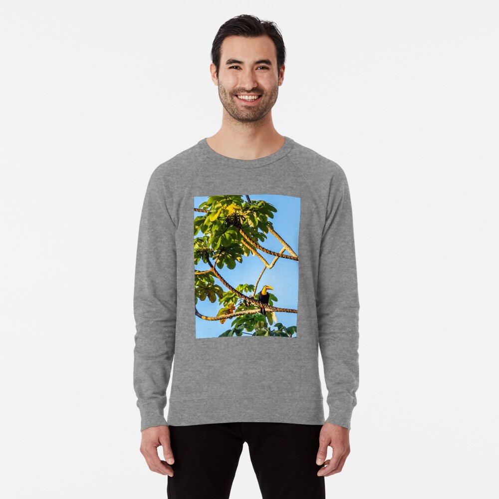 Item preview, Lightweight Sweatshirt designed and sold by darren-j-mcleod.