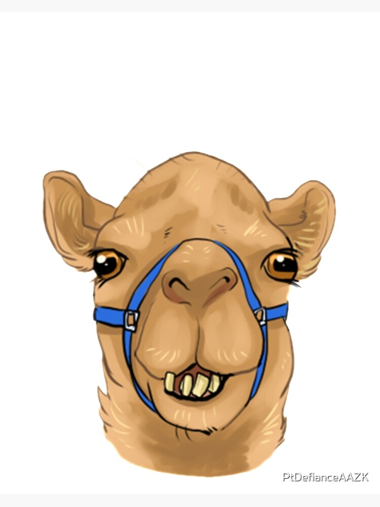 camels feet images clipart