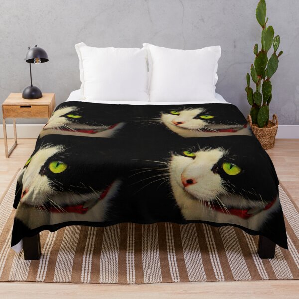 Item preview, Once Kitten, Twice Shy designed and sold by Vince Scaglione.
